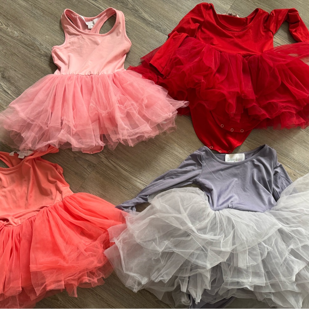 Set of Four Tutu Dresses in Pink, Red, and Gray